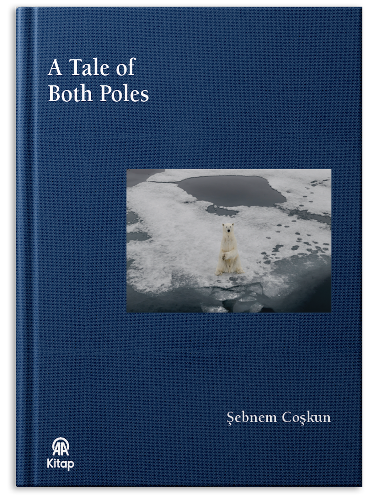 A Tale of Both Poles