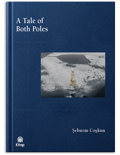 A Tale of Both Poles