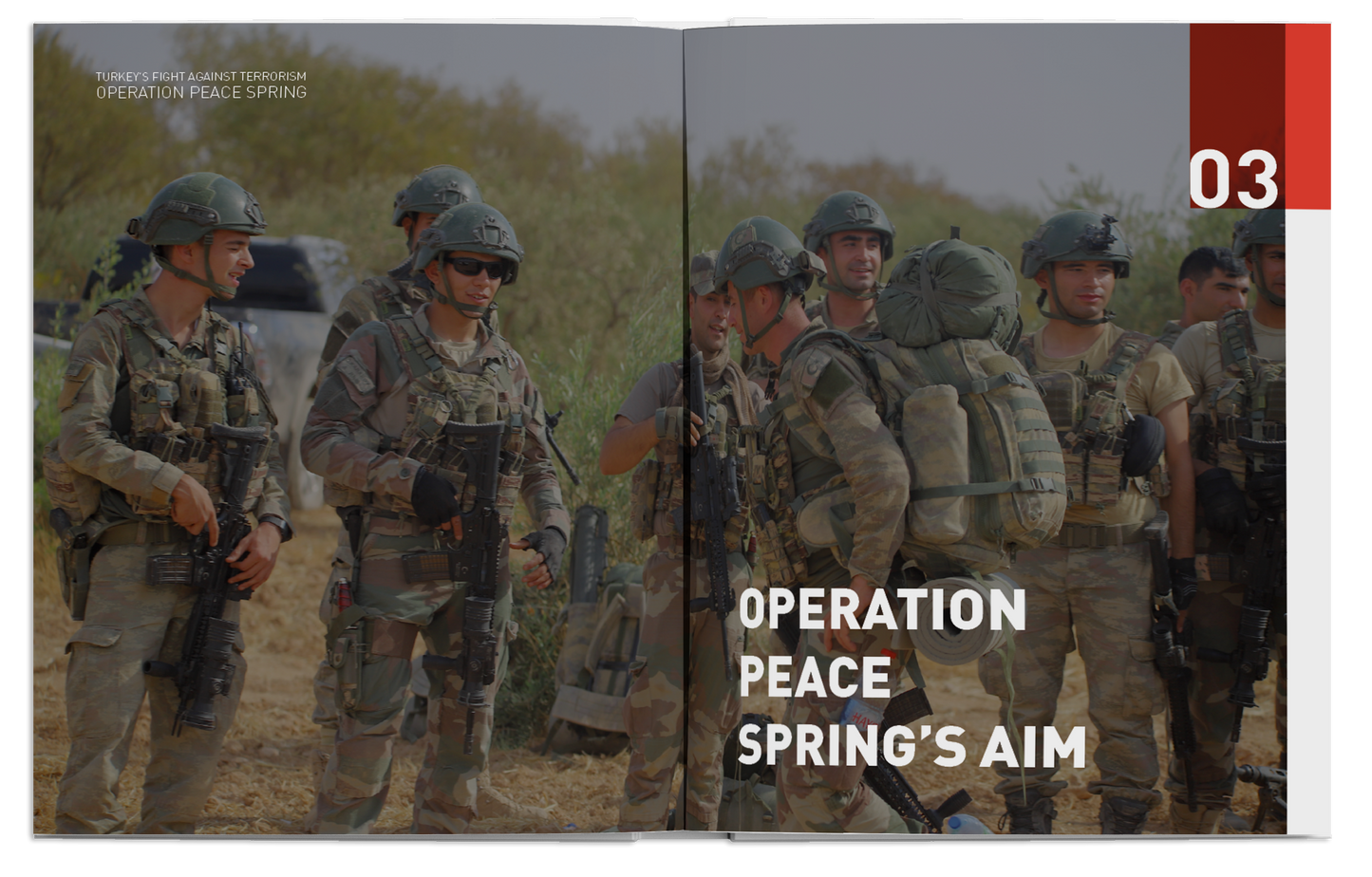 Operation Peace Spring