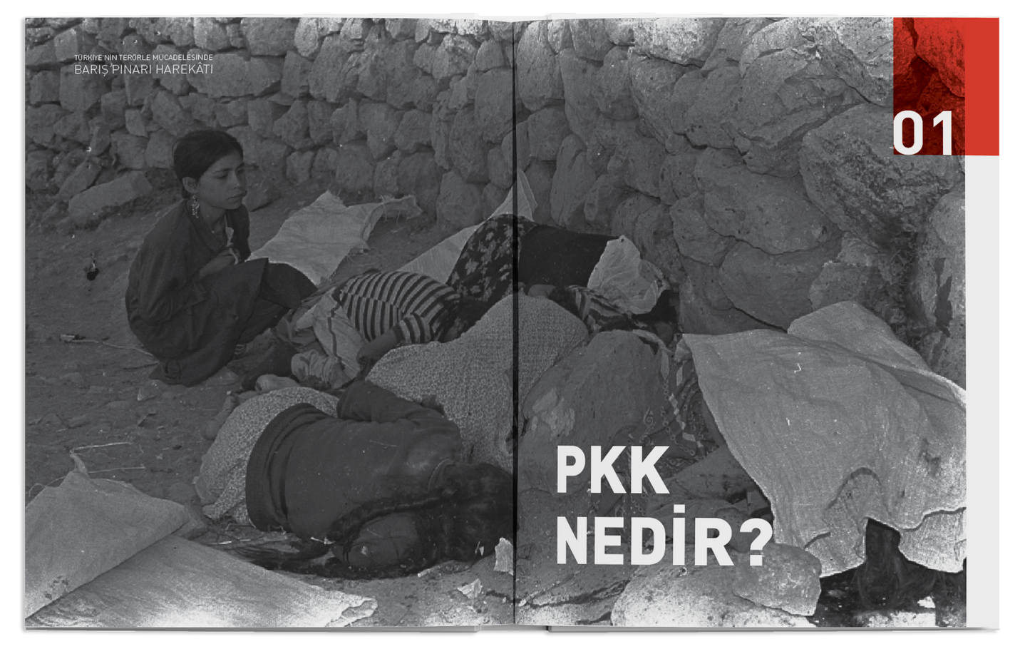 Barış Pınarı Harekâtı