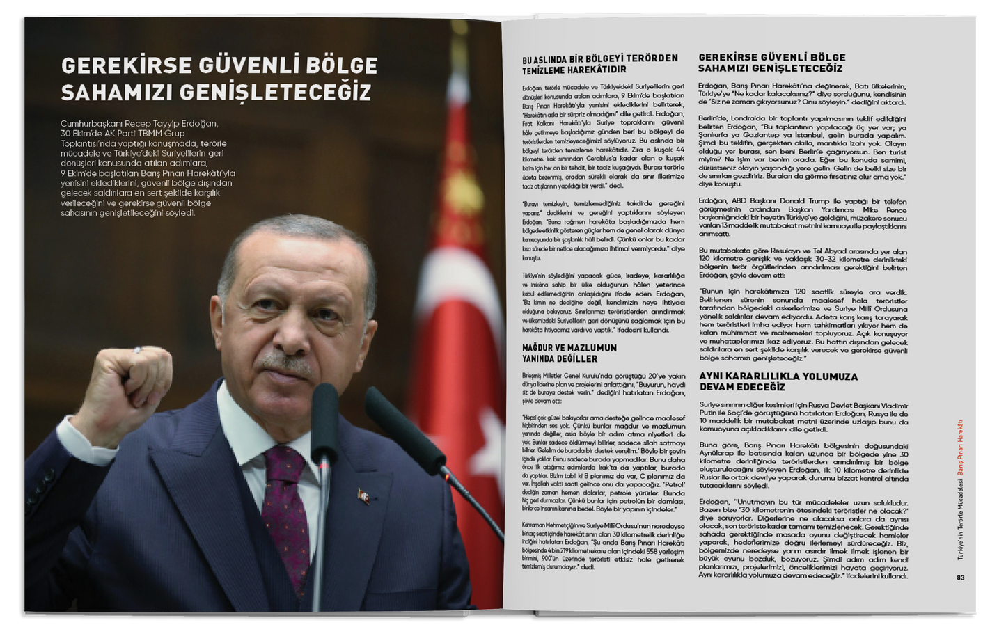Barış Pınarı Harekâtı