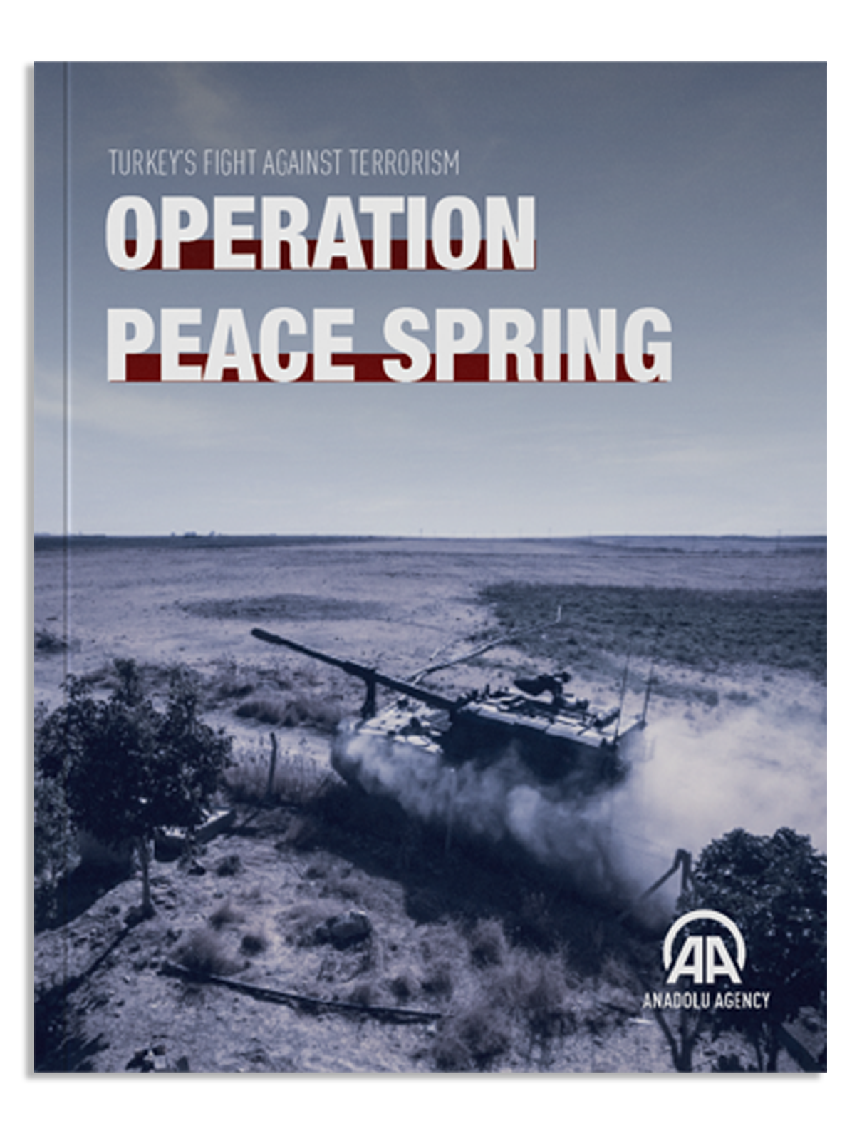 Operation Peace Spring