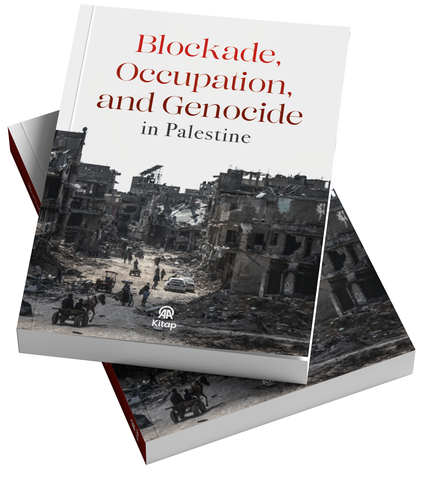 Blockade, Occupation, and Genocide in Palestine