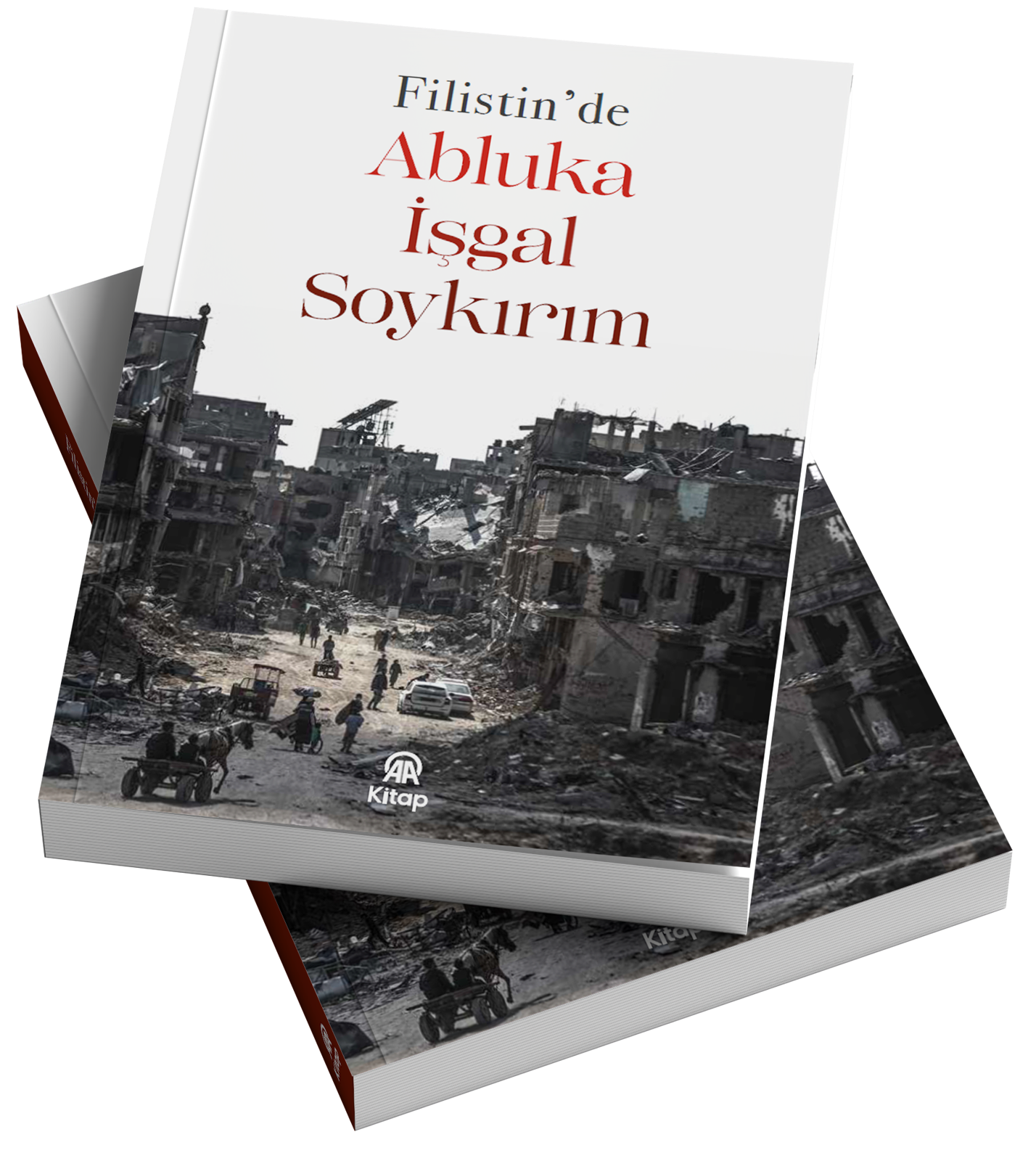 Filistin’de Abluka, İşgal, Soykırım