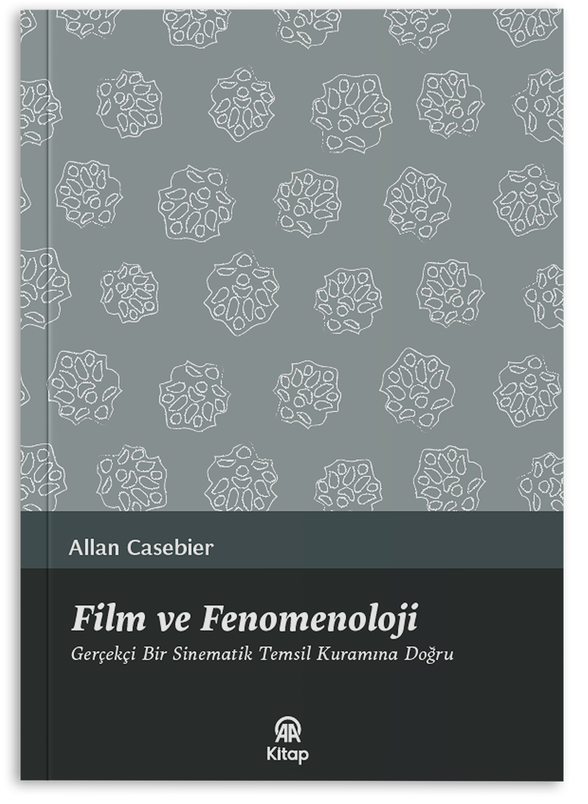 Film ve Fenomenoloji