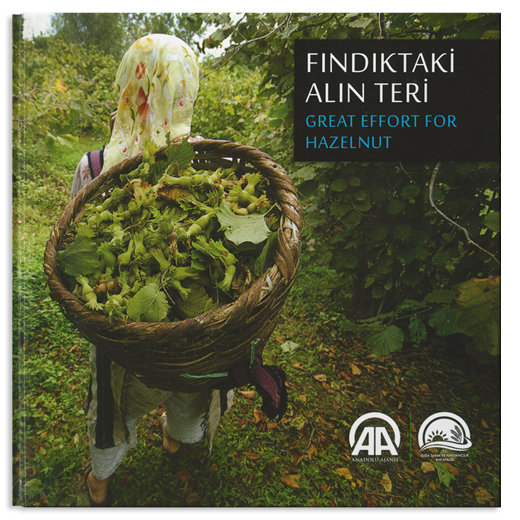 Fındıktaki Alın Teri