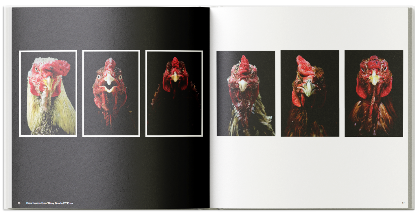 İstanbul Photo Awards 2015
