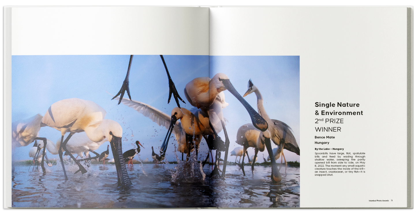 İstanbul Photo Awards 2023