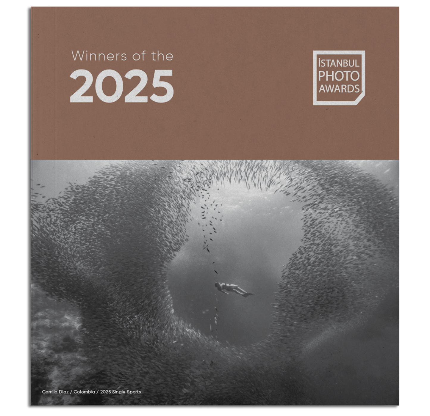 İstanbul Photo Awards 2025