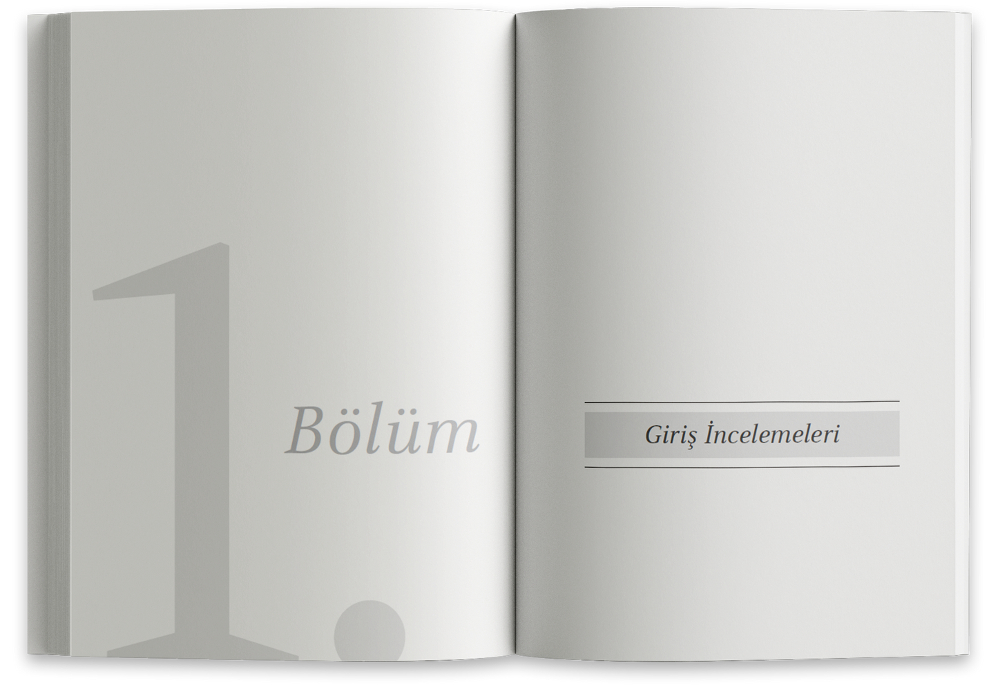 Medya, Bilinç ve Kültür