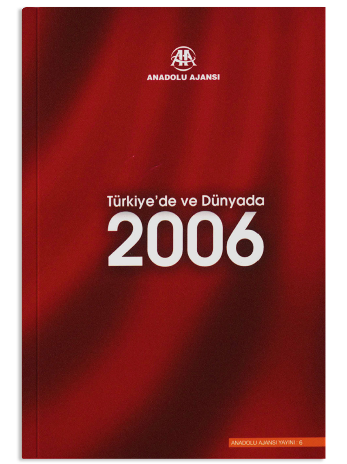 Türkiye'de ve Dünyada 2006