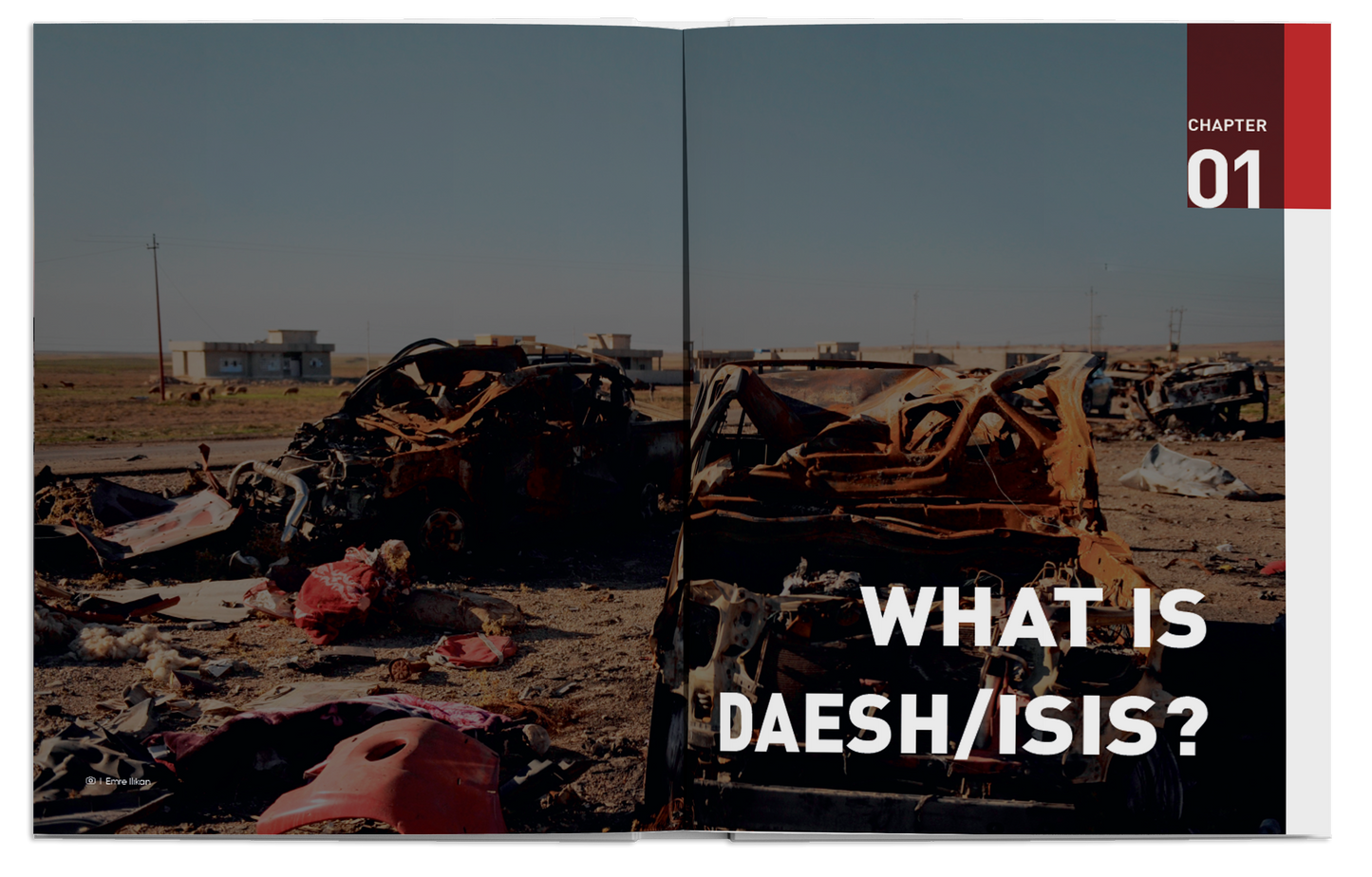 Turkey’s Fight Against DAESH