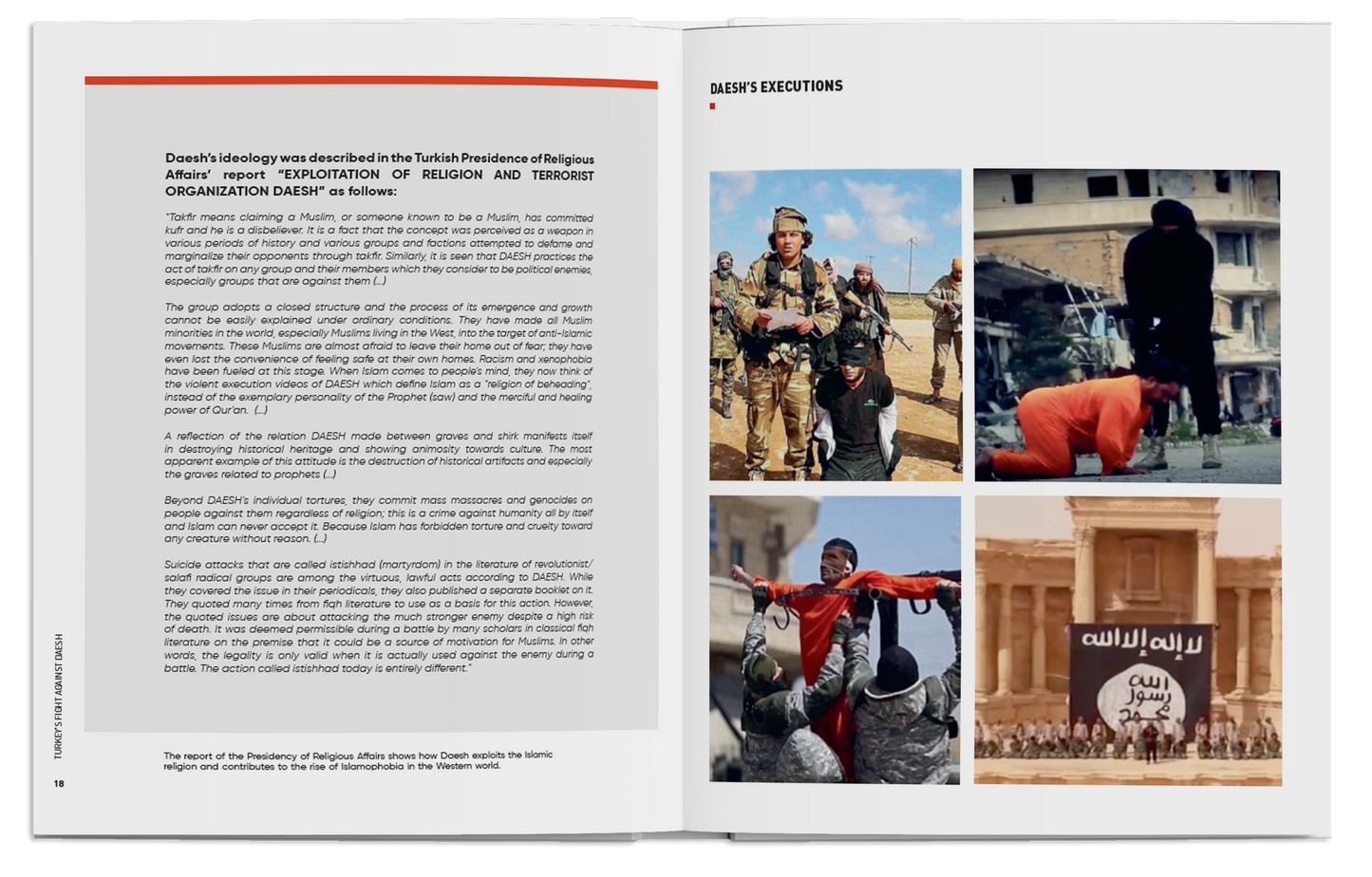 Turkey’s Fight Against DAESH