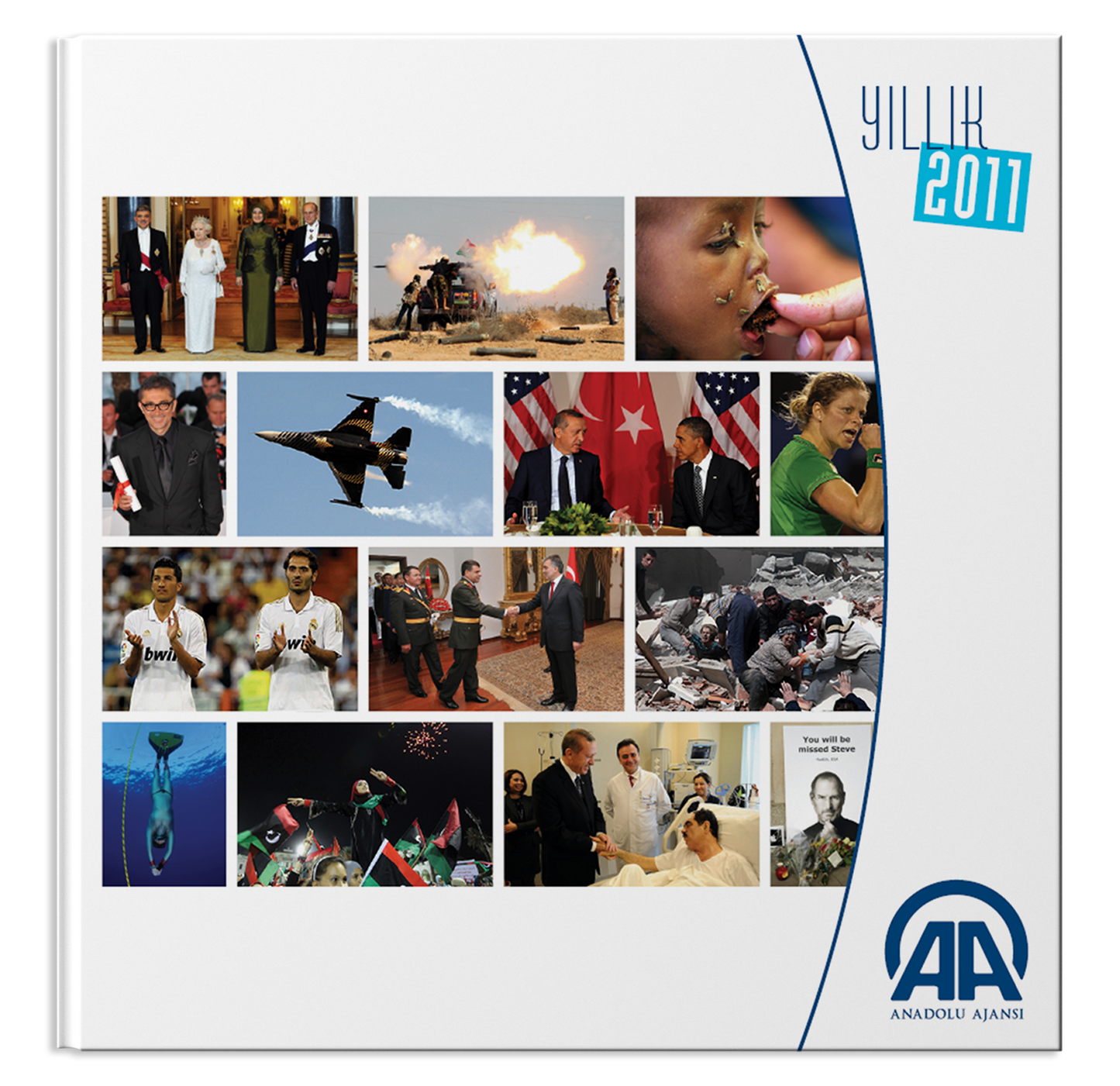 Yıllık 2011