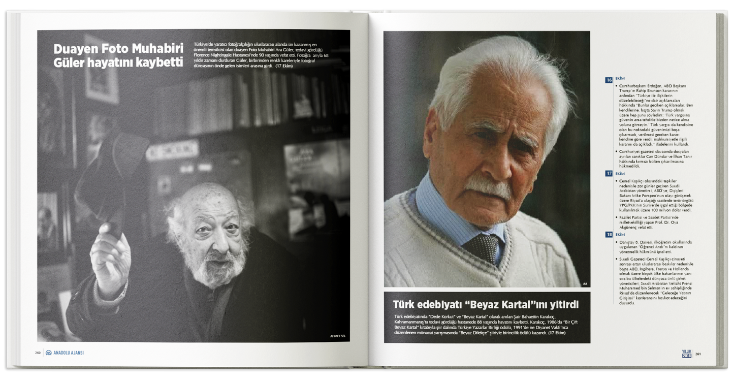 Yıllık 2018