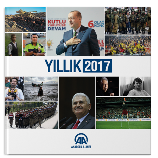 Yıllık 2017