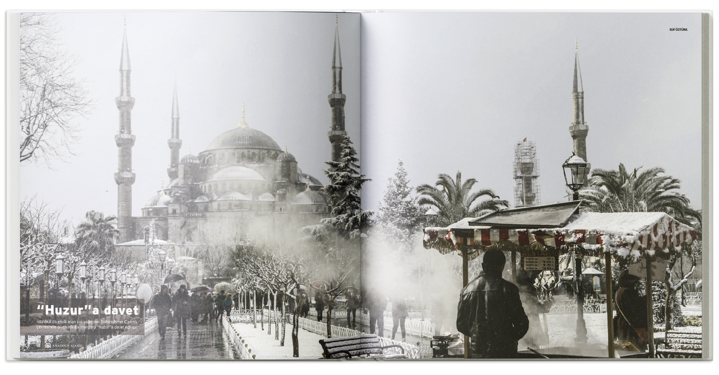 Yıllık 2015
