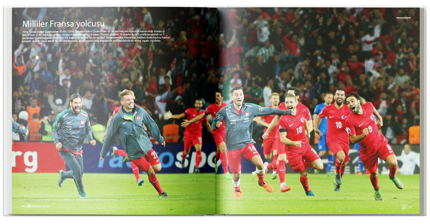 Yıllık 2015