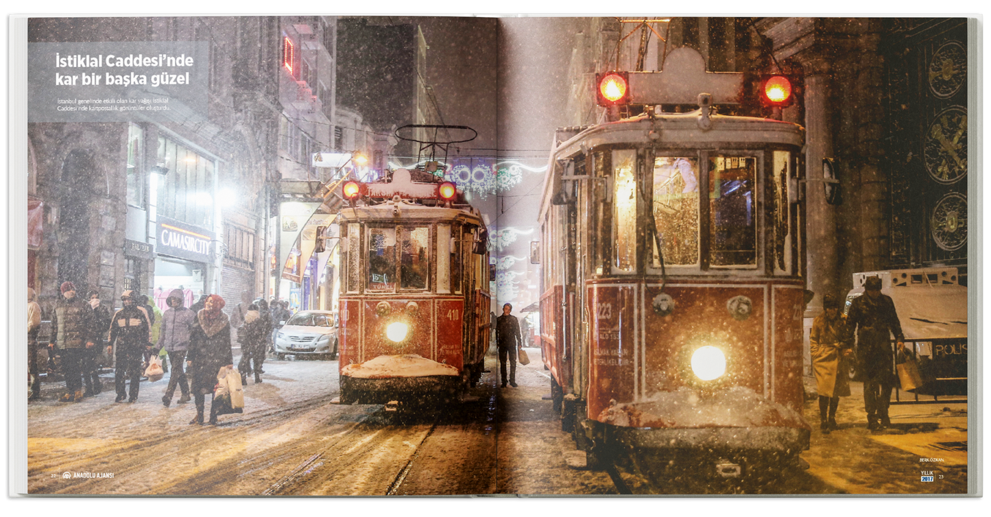 Yıllık 2017