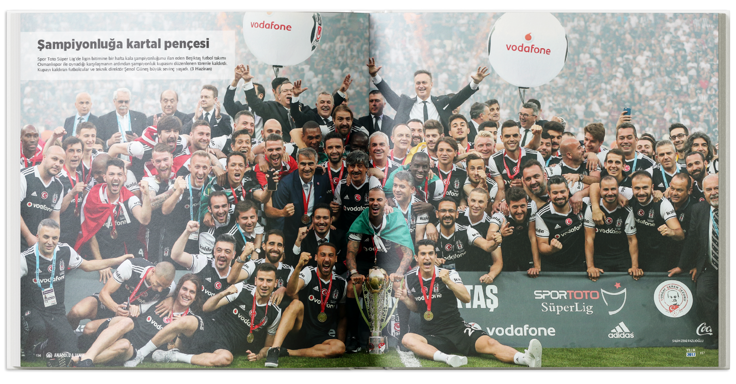 Yıllık 2017