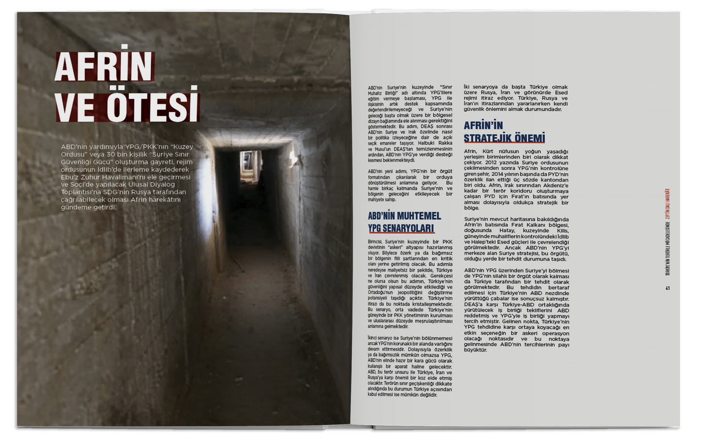 Zeytin Dalı Harekâtı