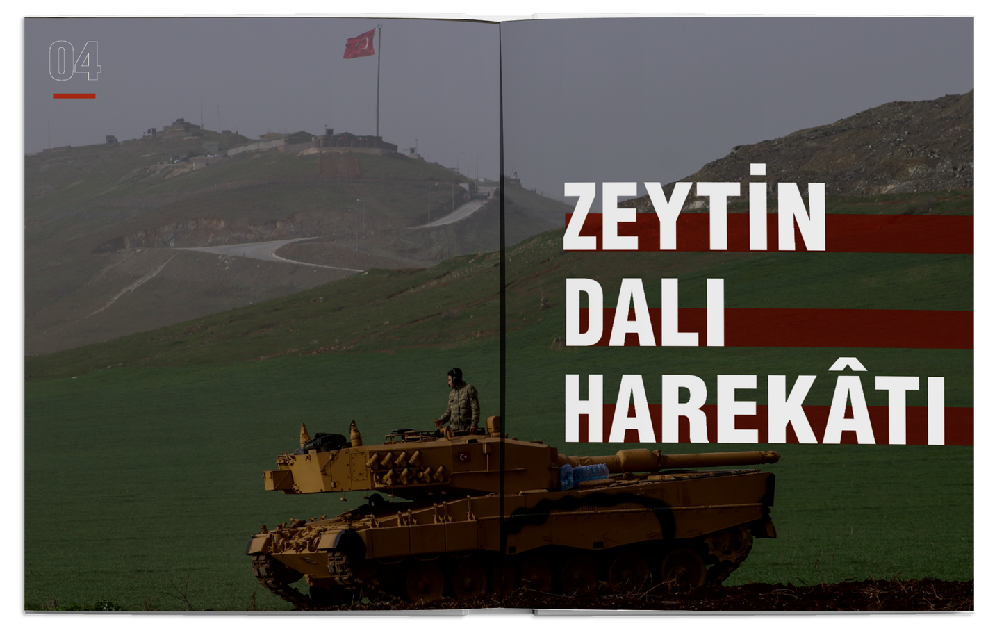 Zeytin Dalı Harekâtı