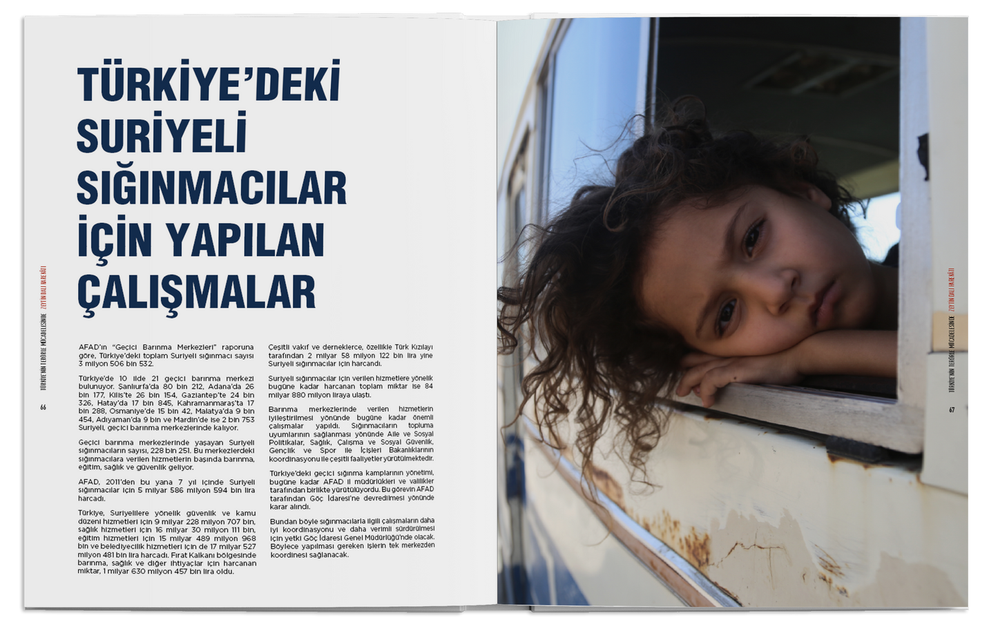 Zeytin Dalı Harekâtı