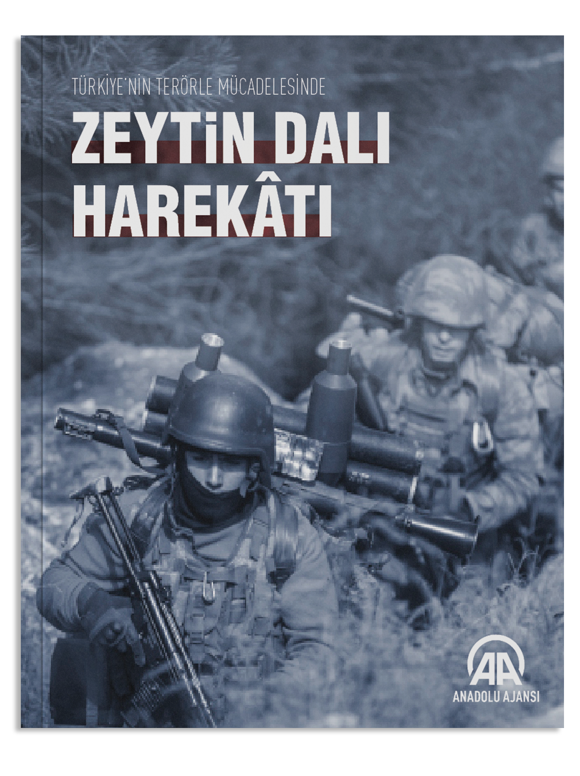 Zeytin Dalı Harekâtı