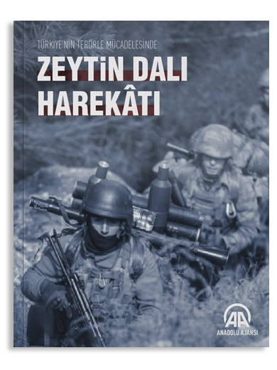 Zeytin Dalı Harekâtı