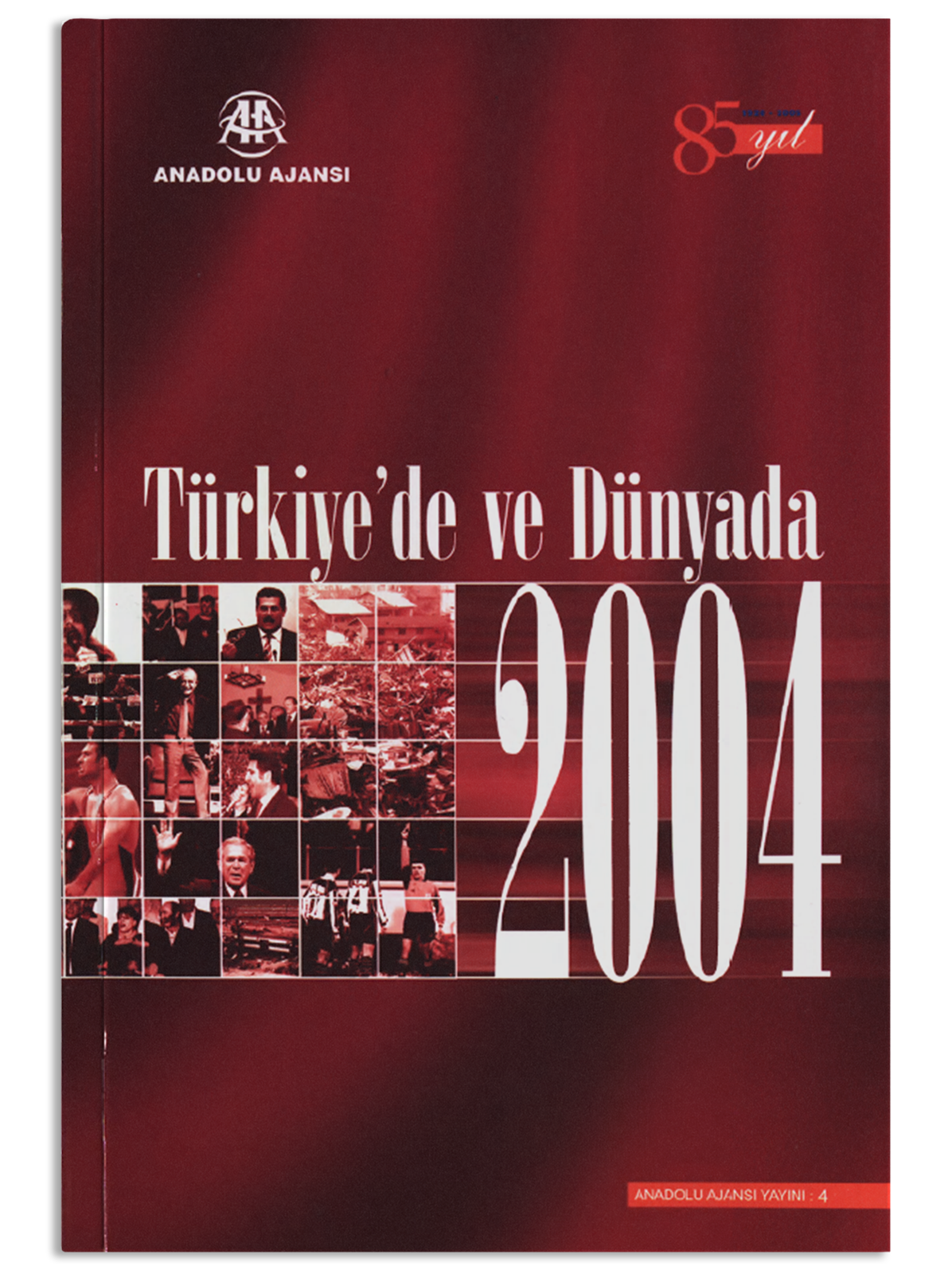 Türkiye'de ve Dünyada 2004